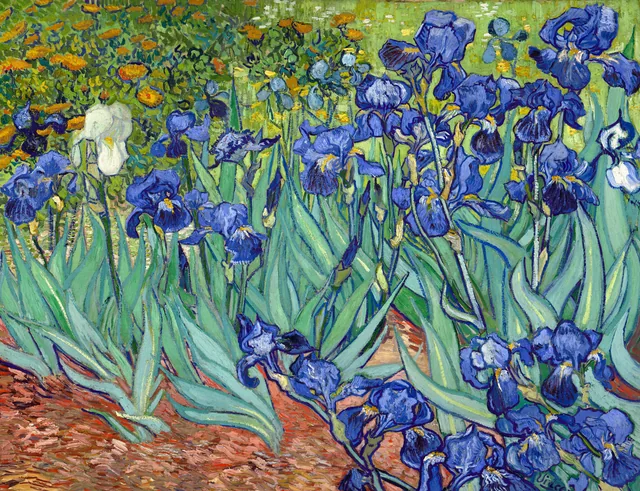 Irises, Vincent van Gogh